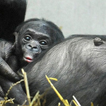 ���� ���� �������� �������� �� ��� ��� ������ ������� ��� �������