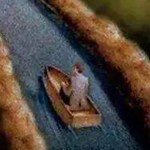 �� ���� ������ ���� ���� ��� ����� ��...