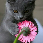 ����� ��� �� �����