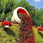 ���� ��� ���� ������