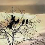 ���� ���� �� ����� ���� ������