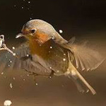 ��� �� ����� �� ����� �� ������ ���� ���� ������