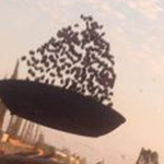 �� �� ������ ����� ������ ������ ��� ��� ������� �������