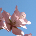 �� ���� ������ ���� ������ ! ���� ������������ ����� ������