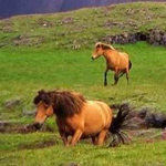 ��� ������ �� ������� ���� ����� ��� ������ ���� �����