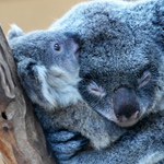 ���� ������ �� ����� ������ ��������...