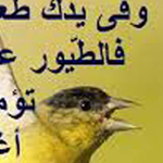 �� ����� �� ����� ���� ���� ����� ��� 