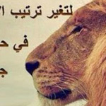 ������ ���� ���� ���� ���� �����