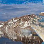 �� ����� ������� 