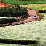 ���� ������� �� ������