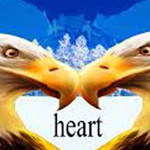 �� �� ����!!