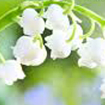 ����� ������� ���� ���� ����� ����� ����� ������� ����� ������