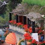 �������� ���� ������� �������