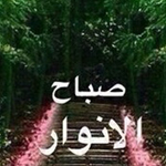 ���� �������