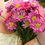 ����� ��� ����� ������