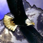 ����� �� ������ ����� ..