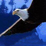 �� ����� ����� ����� �����