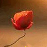 ����� ������ ������� �������� �������...