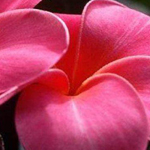 ���� ���� ����� ����