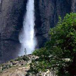 ���� ������� ������