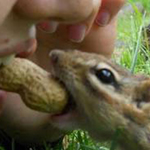 ���� ����� ������ ����� ��� ��� ������