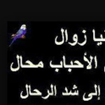 ����� �� ������ ���� ������ �� ..