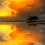 ������� ������� ����� ������