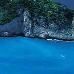 ����� ������� �������