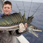 ���� ����� �� �����