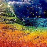 ���� ����� �� ������ ��� ����� �� ���� ����� ������� ��������