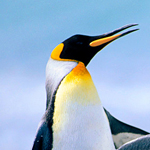 �� ���� ��� ������ ������� �� ���� ��� ������