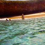 ���� ����� ������ ����� �� ��� ������ 