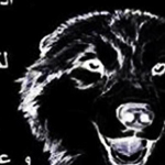 ���� ��� �����