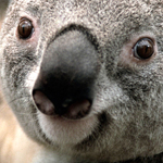 �� ������� ������ ��������� �� ��������