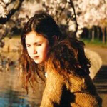 ���� �����  ����� �� �����