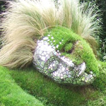 ����� �������� ����� �����