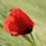 �� ���� ��� ��� �����  ��� �� ���� ���� �����