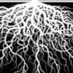 ��� ���� �� ����� ������ ���� ������ �����