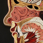 �� �� ����� .. ���� �� ���� ����� ���� �������