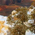 ���� ��������������� ������������������������ �������������������� ������������������