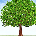 ���� ����� �� �������