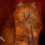 ���� �������