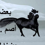 ����� ������ ������ �����ޡ ����� ..