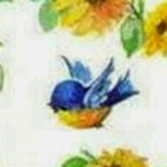 �� ��� ����� ��� �����