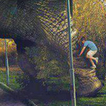 ���� ���� �����