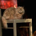 �� ���� ���� �� ���� �������� �� �����