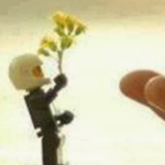 ���� ����� ���� �� �� ��� ����