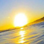 ���� ����� �������