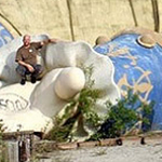 �� ���� ����� ���� ������