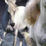 �� ����� ������ ������....!